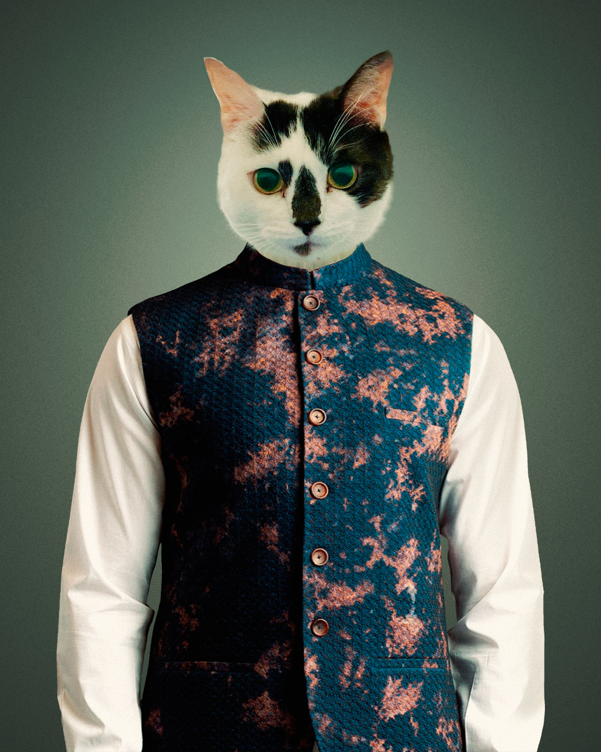 Royal Pet Portraits